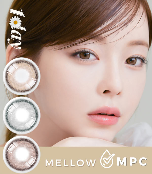 1DAY Lenses Mellow brown gray choco contacts
