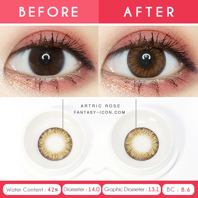 1 Day Colored Contacts Rose Artric Brown-Detail
