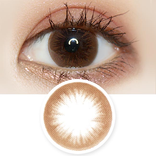  Brown 1-Day Colored Contacts Artric Tia