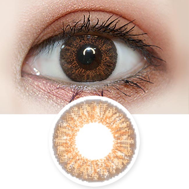 Venus Artric Brown 1 Day Colored Contacts