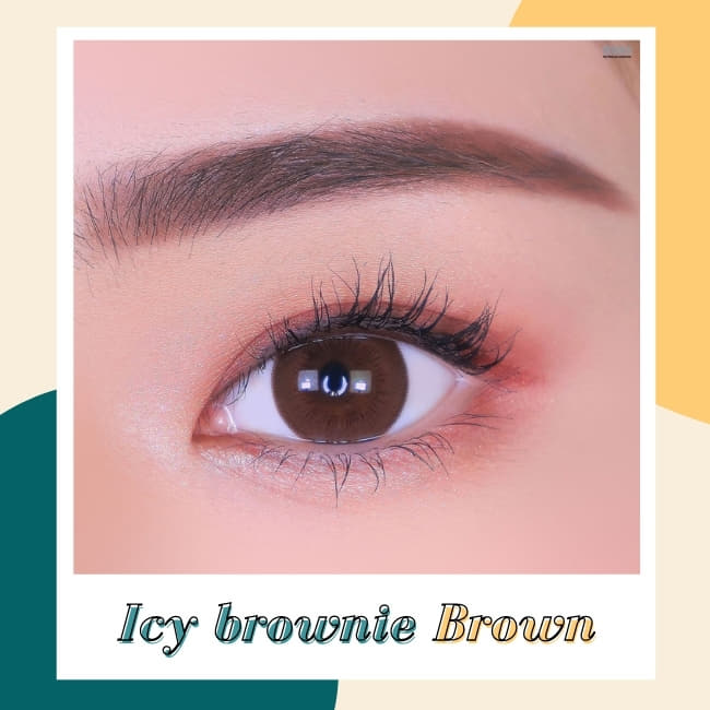 Toric Lens Brownie Brown Colored Contacts For Astigmatism eyes