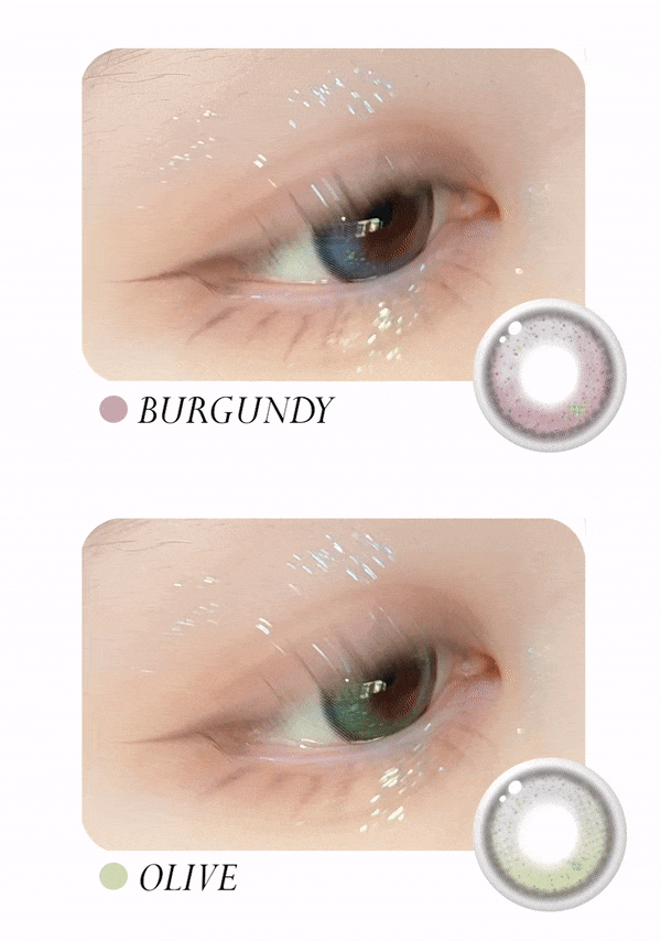 1day olive lens burgundy contacts