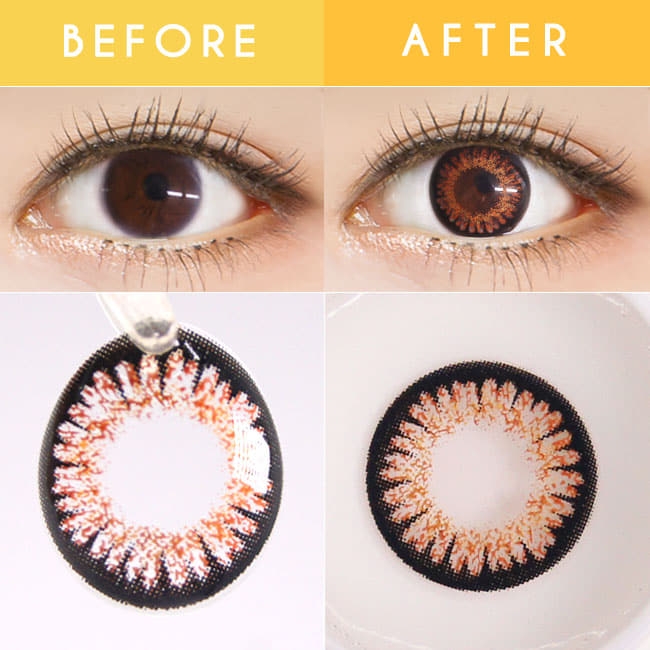 Honey Brown Colored Contacts Jelly Sweet