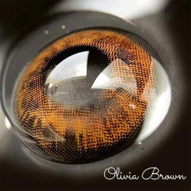 Olivia 7 tone Brown Contact Lenses