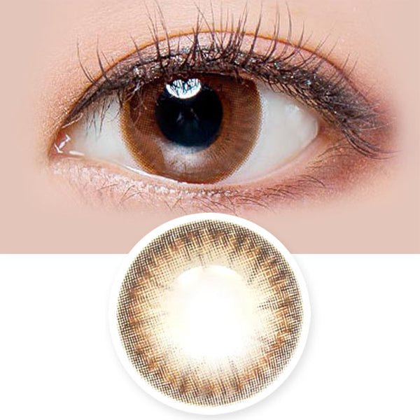 Toric Lens Daisy Shasha Chocolate Brown Colored Contacts For Astigmatism