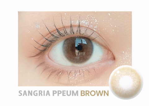 1 DAY Silicone hydrogel sangria PPEUM GNG brown contacts